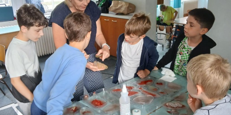 cb664dd2-4b60-4a04-a379-59973ad47fd5